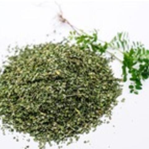 Diệp Hạ Châu