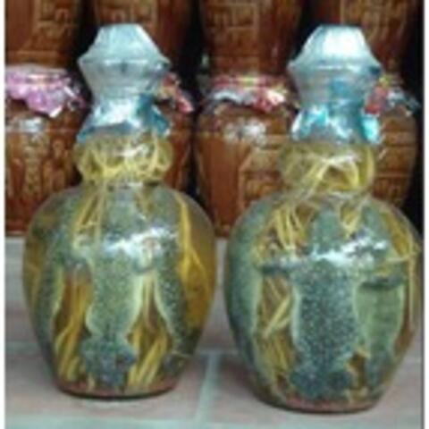 Rượu Tắc kè