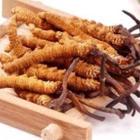 Đông trùng hạ thảo