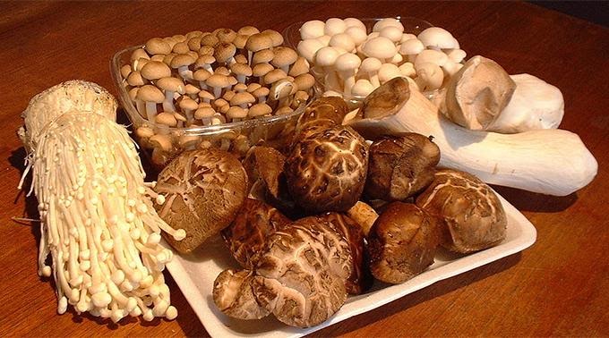C:\Users\VNPro\Desktop\nam-mon-chay-giau-dinh-duong.jpg